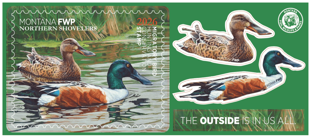 2026 sticker sheet-01 002 - Montana's Outdoor Legacy Foundation Montana FWP 2016 stamp design featuring two ducks on water with green background and text 'Migratory Bird Habitat Conservation Stamp'.