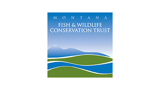 Montana Fish and Wildlife Conservation Trust Logo